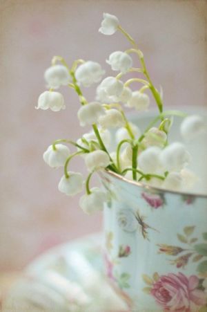 pretty white snowdrops in tea cup.jpg